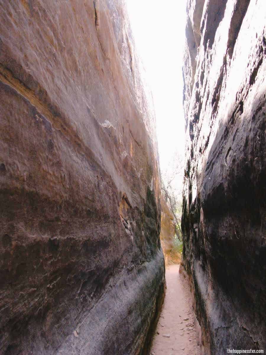 druid-arch-trail-slot-canyon