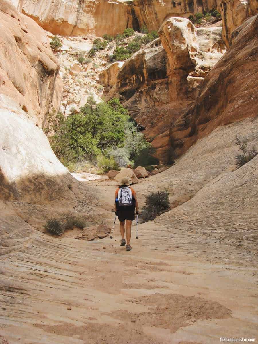 hiking-to-druid-arch-needles-district
