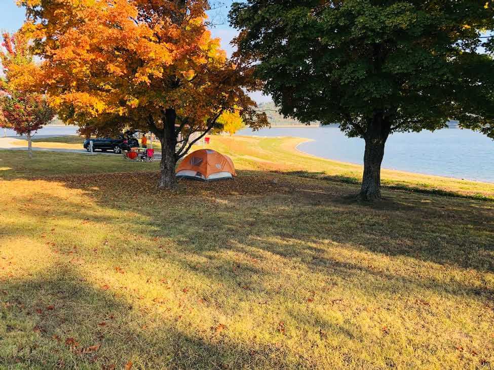 Dam Site Lake Park Campground: Perfect Beaver Lake Island Retreat - The