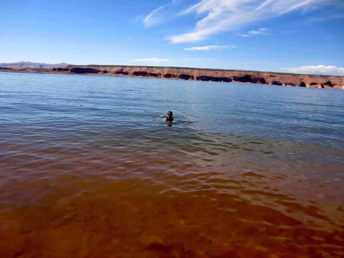 lake-powell-swimming