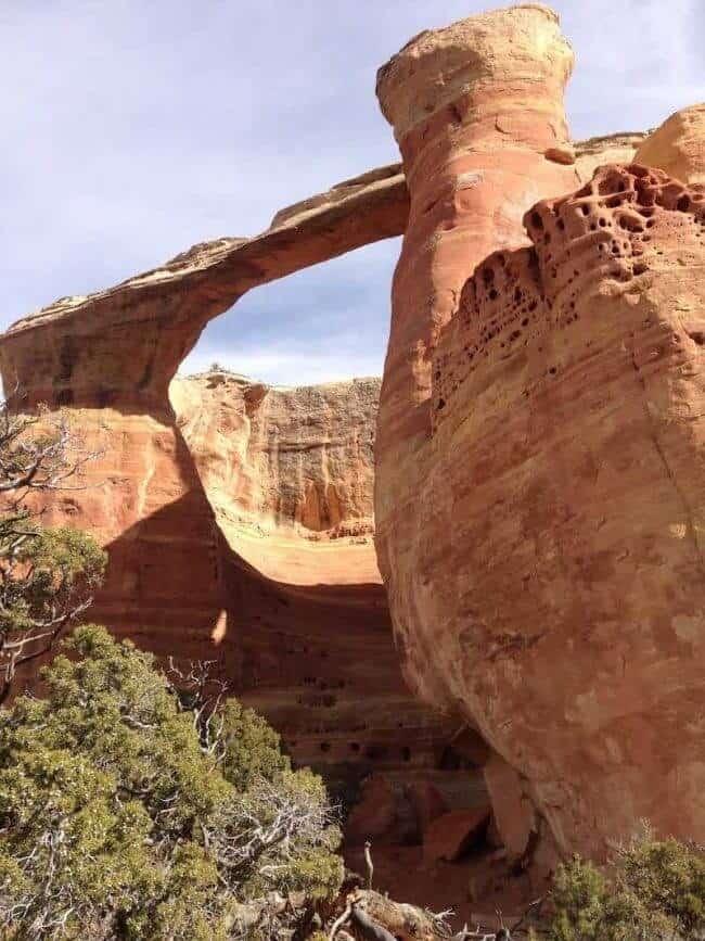 Discover Hidden Gems of Colorado Hike Rattlesnake Arches, Witness 8 Natural Wonders The