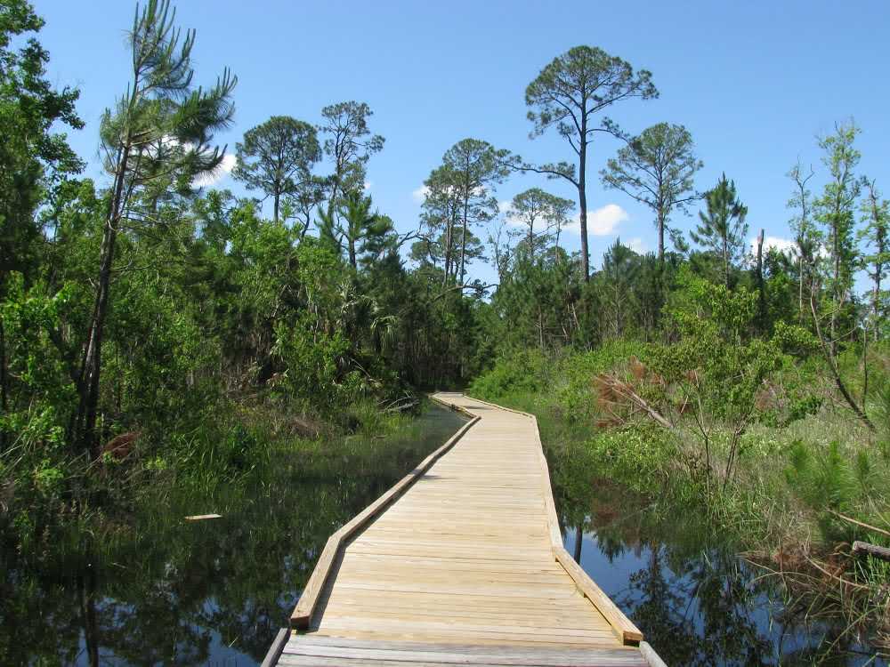 dauphin-island-bird-sanctuary-boardwalk