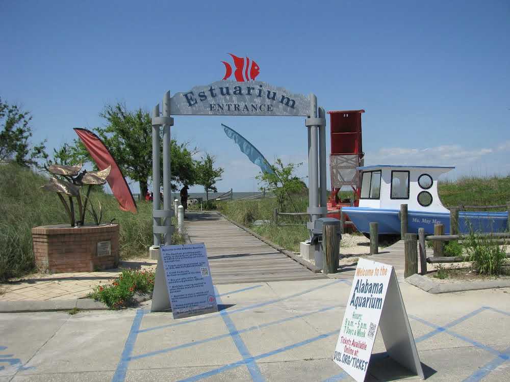 dauphin-island-things-to-do-estuarium