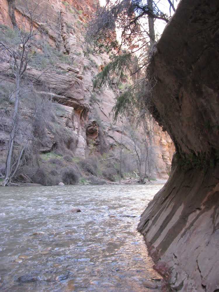 lower-section-the-narrows-hike