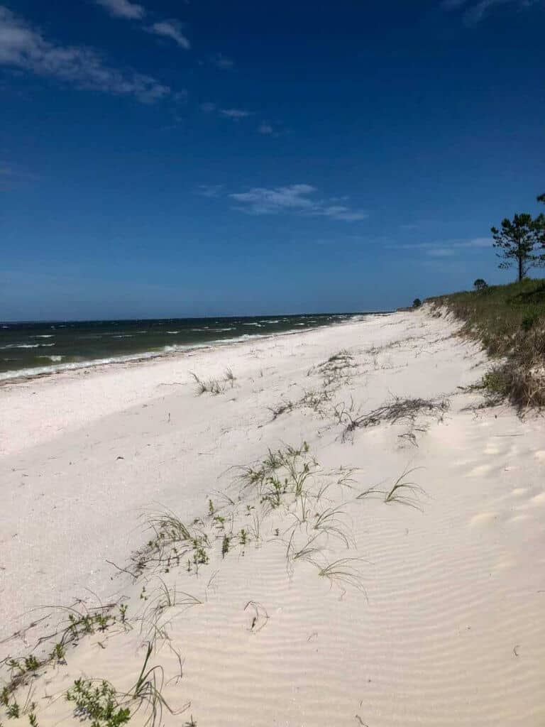 are dogs allowed at fort pickens