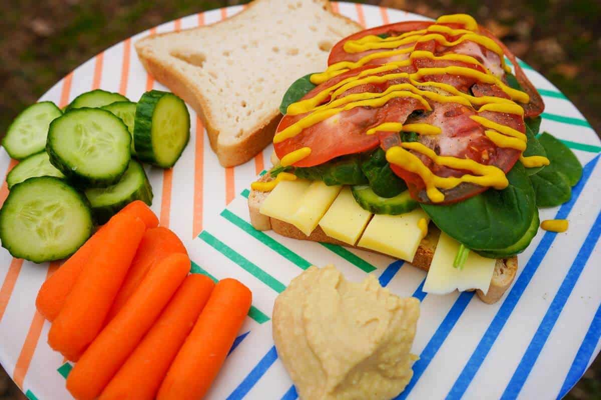 gluten-free-camping-meal-ideas-veggie-sandwich