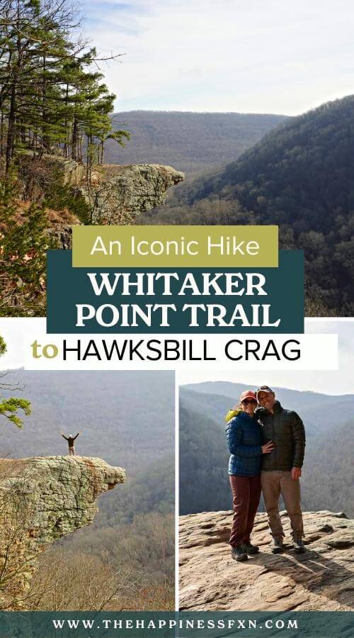 views of Whitaker Point (Hawksbill Crag) with overlay text an iconic hike Whitaker Point Trail to Hawksbill Crag