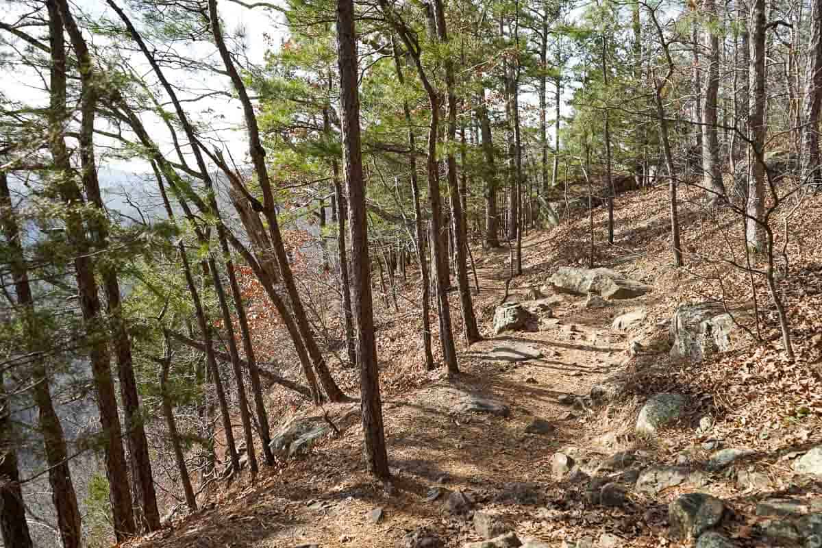 whitaker-point-trail