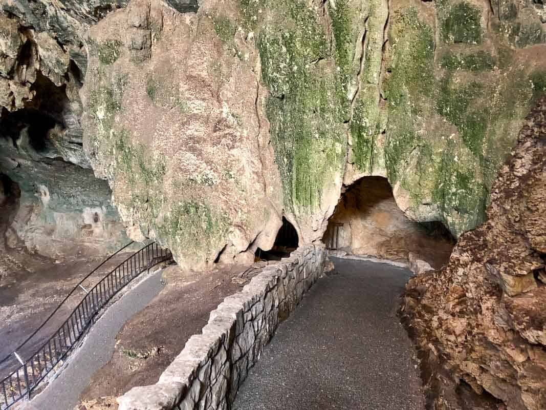 Carlsbad Natural Entrance Trail