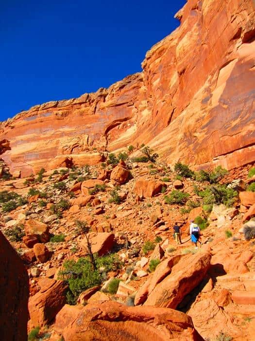 Colorado National Monument: How to Spend One Perfect Day Exploring ...