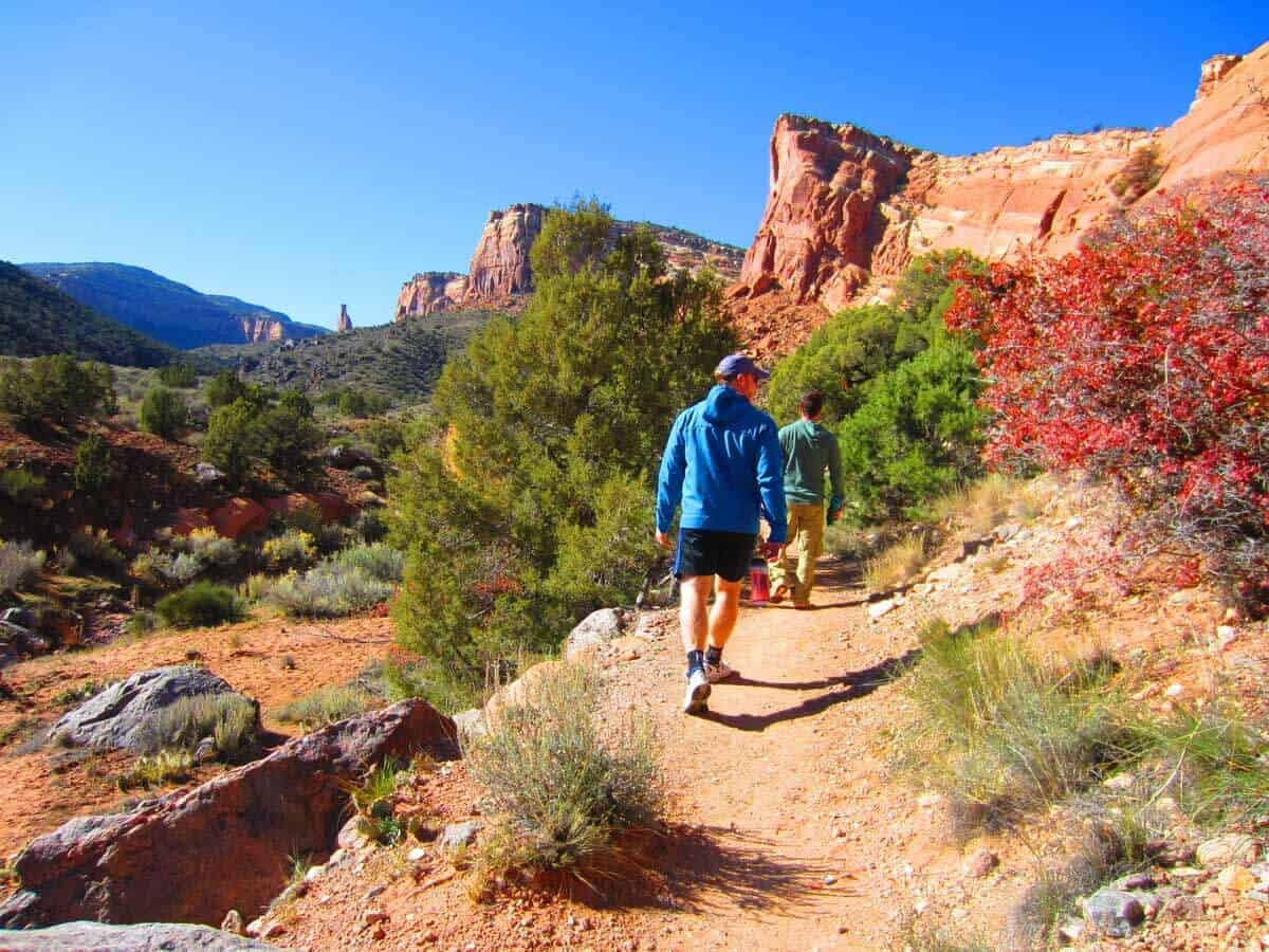 are dogs allowed in colorado national monument