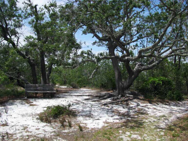 10 Fun Things To Do At Gulf Islands National Seashore Fort Pickens ...