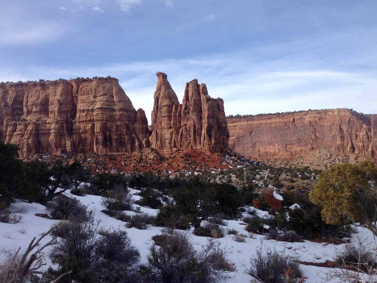 are dogs allowed in colorado national monument