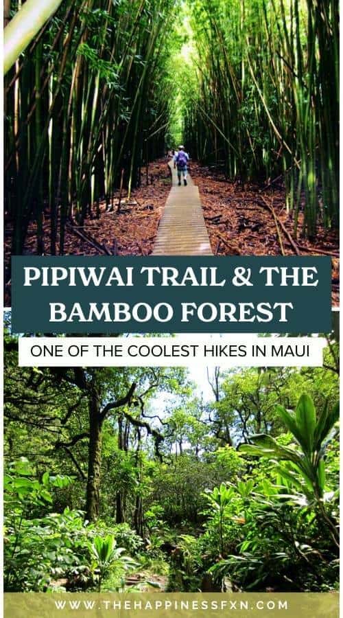 Pipiwai Trail & the Bamboo Forest: One of the Coolest Hikes in Maui ...