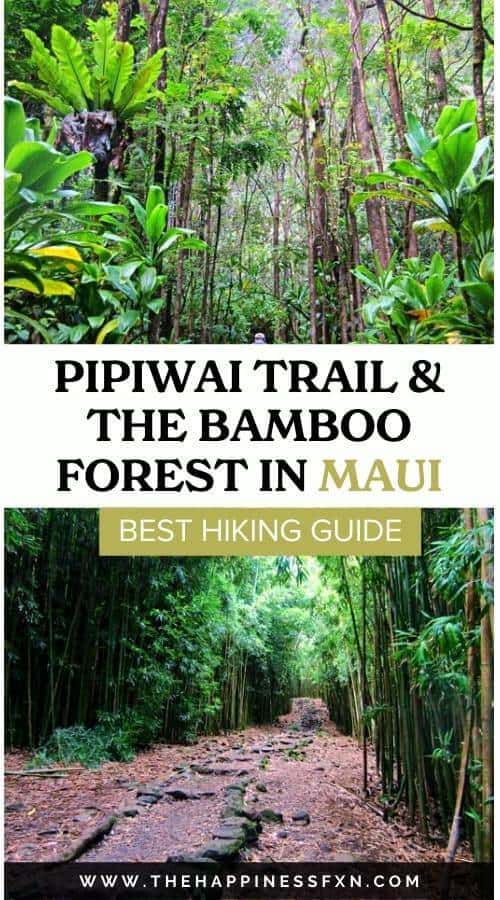 Pipiwai Trail & the Bamboo Forest: One of the Coolest Hikes in Maui ...