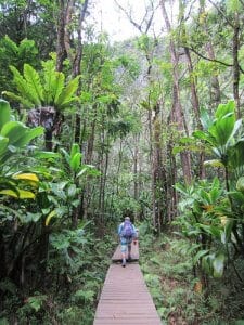Epic Trails: 7 Best Hikes in Maui You Need to Trek - The Happiness Function