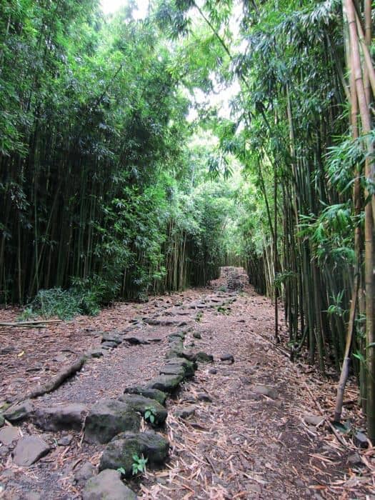 pipiwai-trail-maui