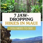 Pipiwai Trail and Haleakala National Park Overlook