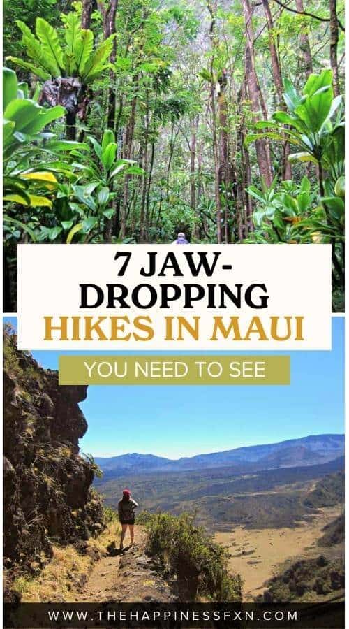 Pipiwai Trail and Haleakala National Park Overlook