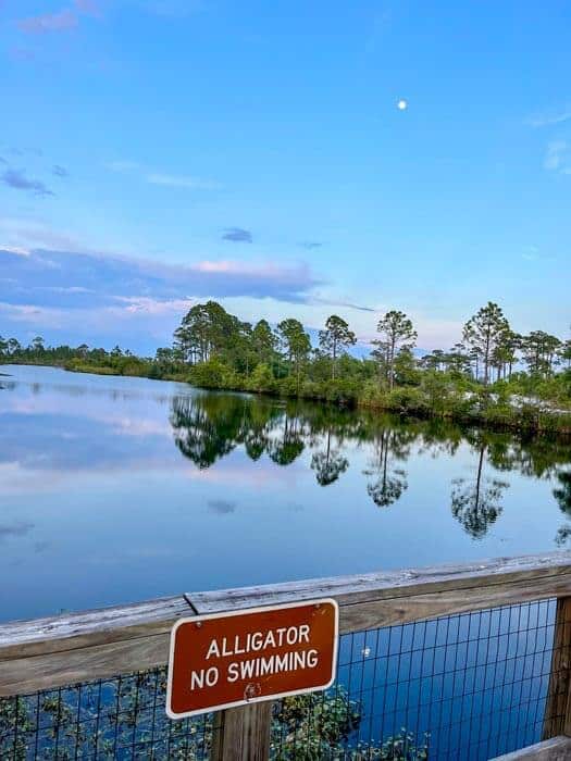 Big Lagoon State Park Long Pond