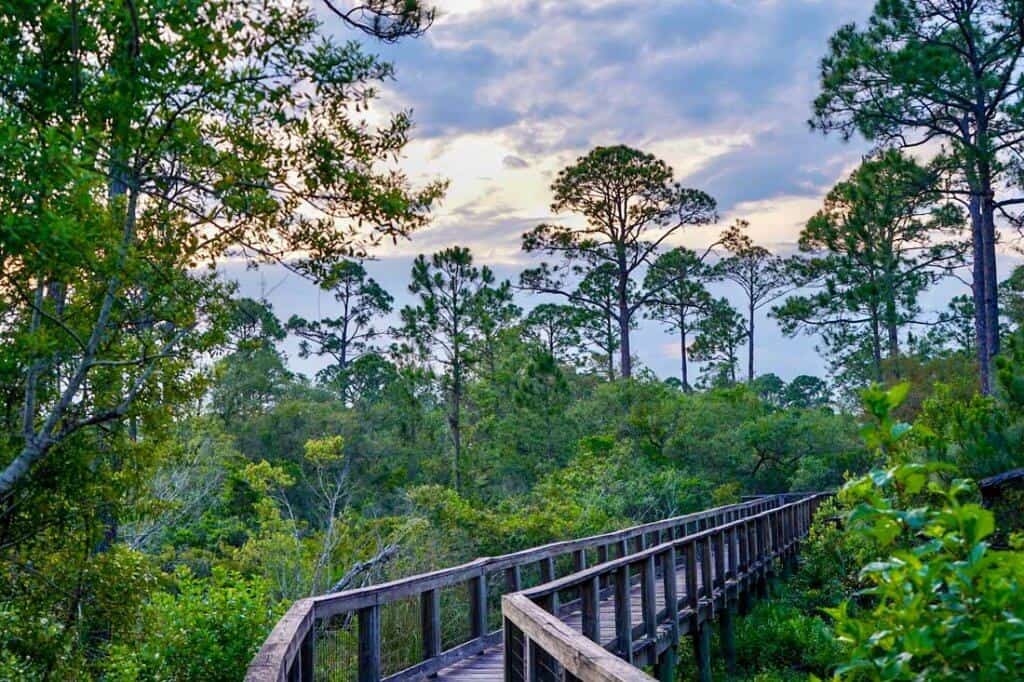 big-lagoon-state-park