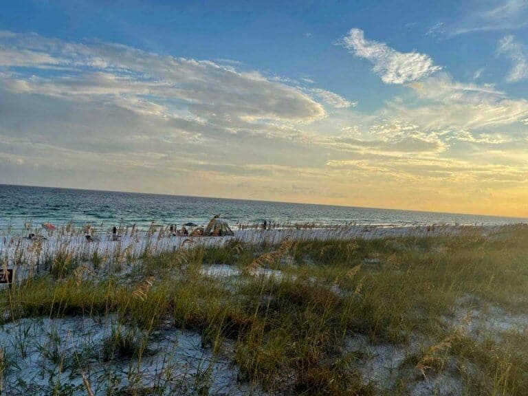 30+ Beautiful Beaches in Florida To Visit - The Happiness Function