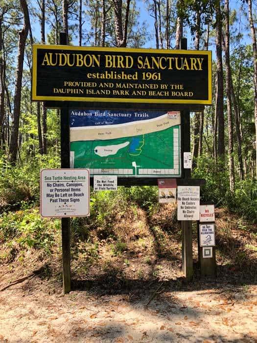 dauphin-island-audubon-bird-sanctuary
