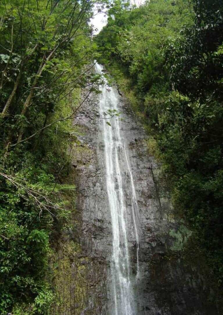 10 Great Hikes in Oahu with Incredible Views - The Happiness Function