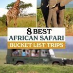 top left photo: giraffe; top right photo: elephant; bottom photo: people on African safari with Cheetah walking around