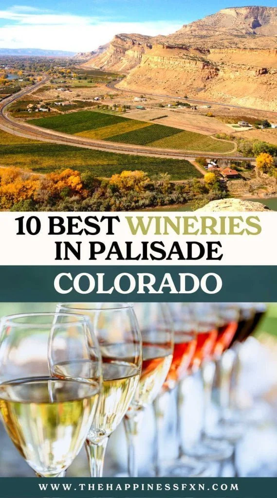 top photo: view of Palisade, Colorado wine country; bottom photo: wine tasting flight