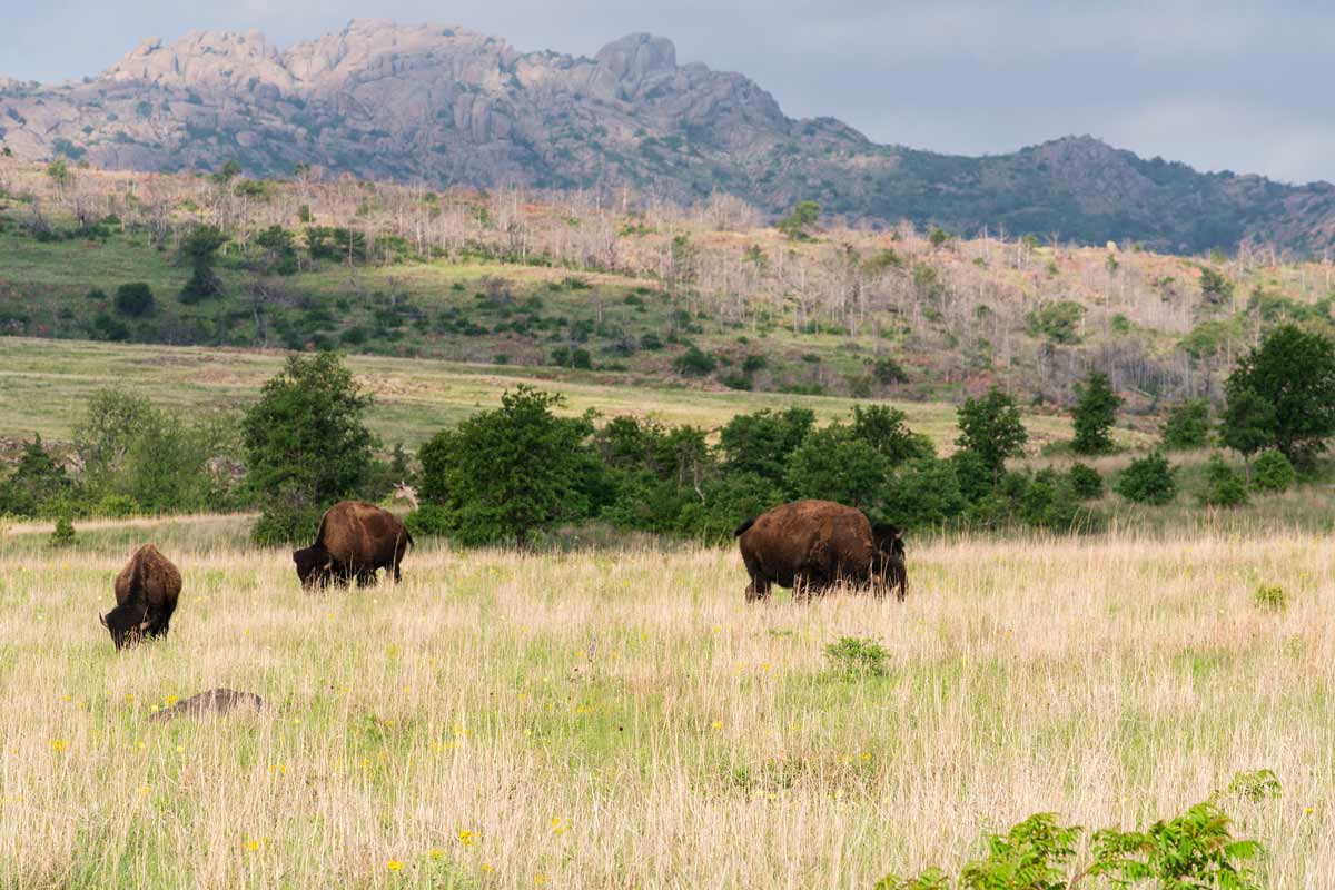 Wichita Mountains National Wildlife Refuge