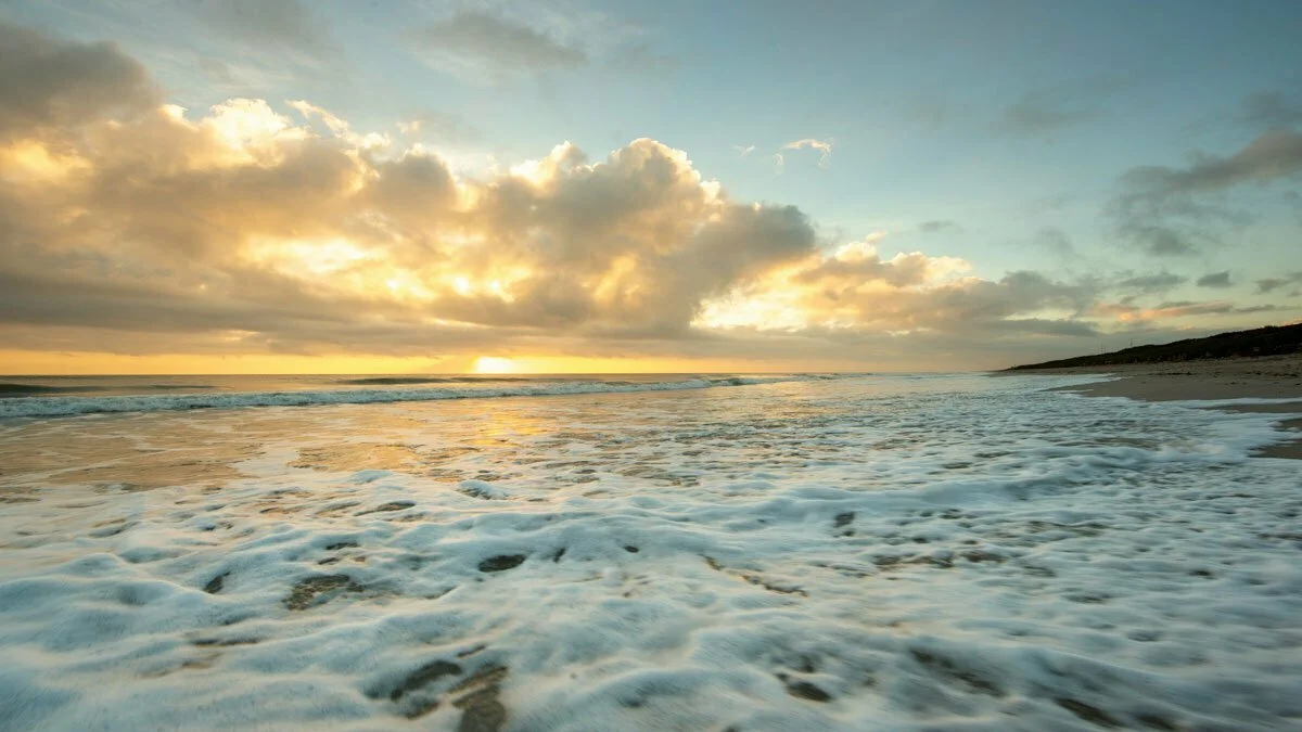 Canaveral National Seashore