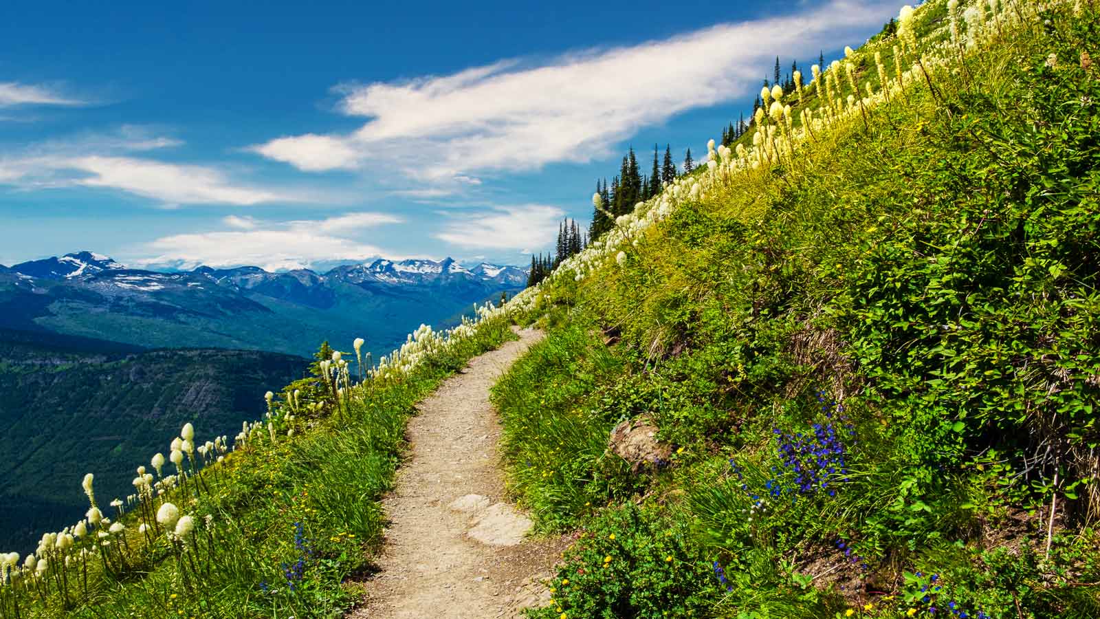 Glacier National Park Highline Trail