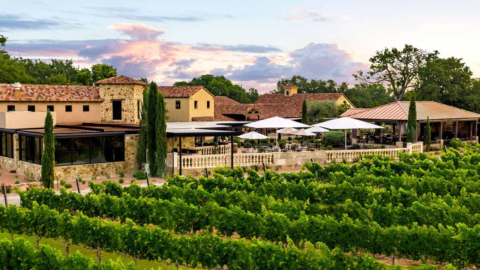 grape creek vineyard