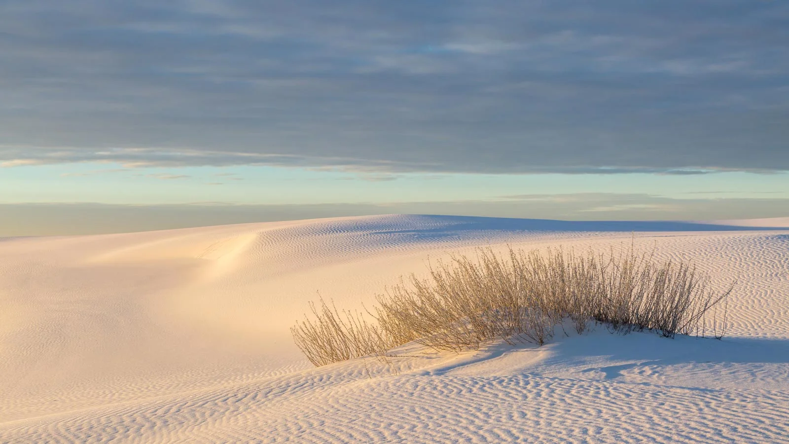 white sands national park