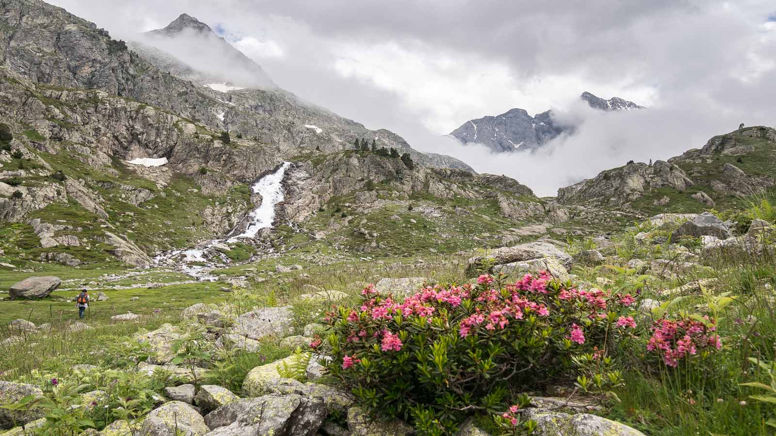 pyrenees mountains france