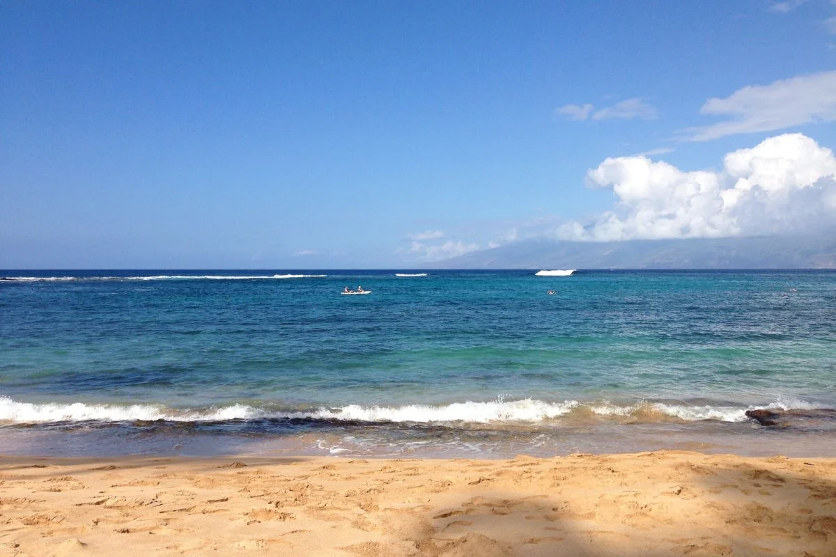 Kayakers in Maui