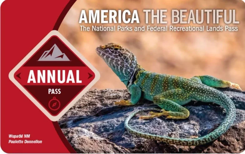 America the Beautiful Pass - 2024/2025 | From REI