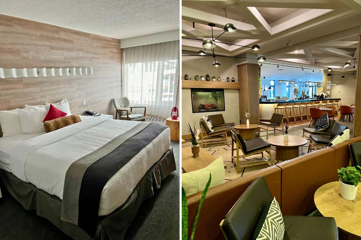 Elk+Avenue Hotel in Banff, room and restaurant.