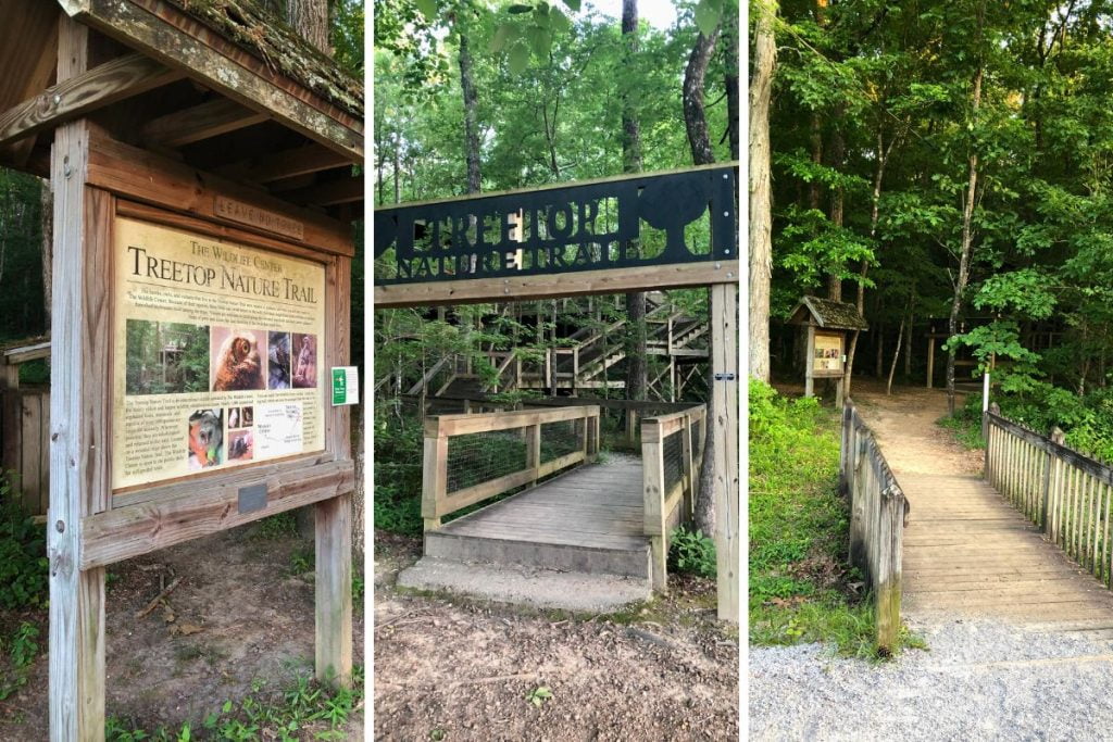 The Complete Guide to Oak Mountain State Park Outside of Birmingham