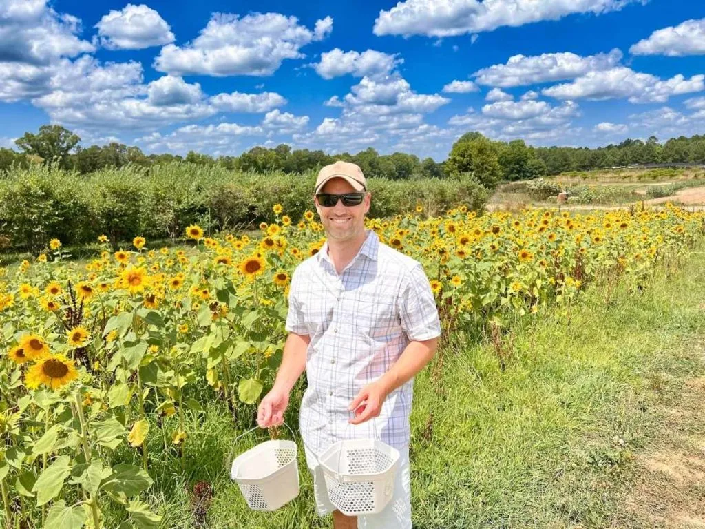 Pablo standing in front of sunflowers at the Ivy Place berry farm